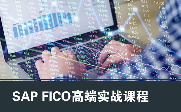 福州SAP FICO高端实战课程