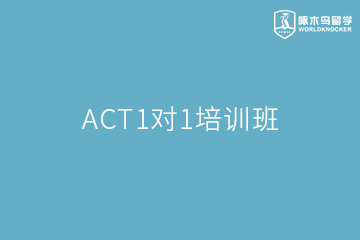 广州啄木鸟教育广州ACT1对1培训班图片