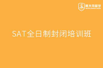 广州啄木鸟教育广州SAT全日制封闭培训班图片