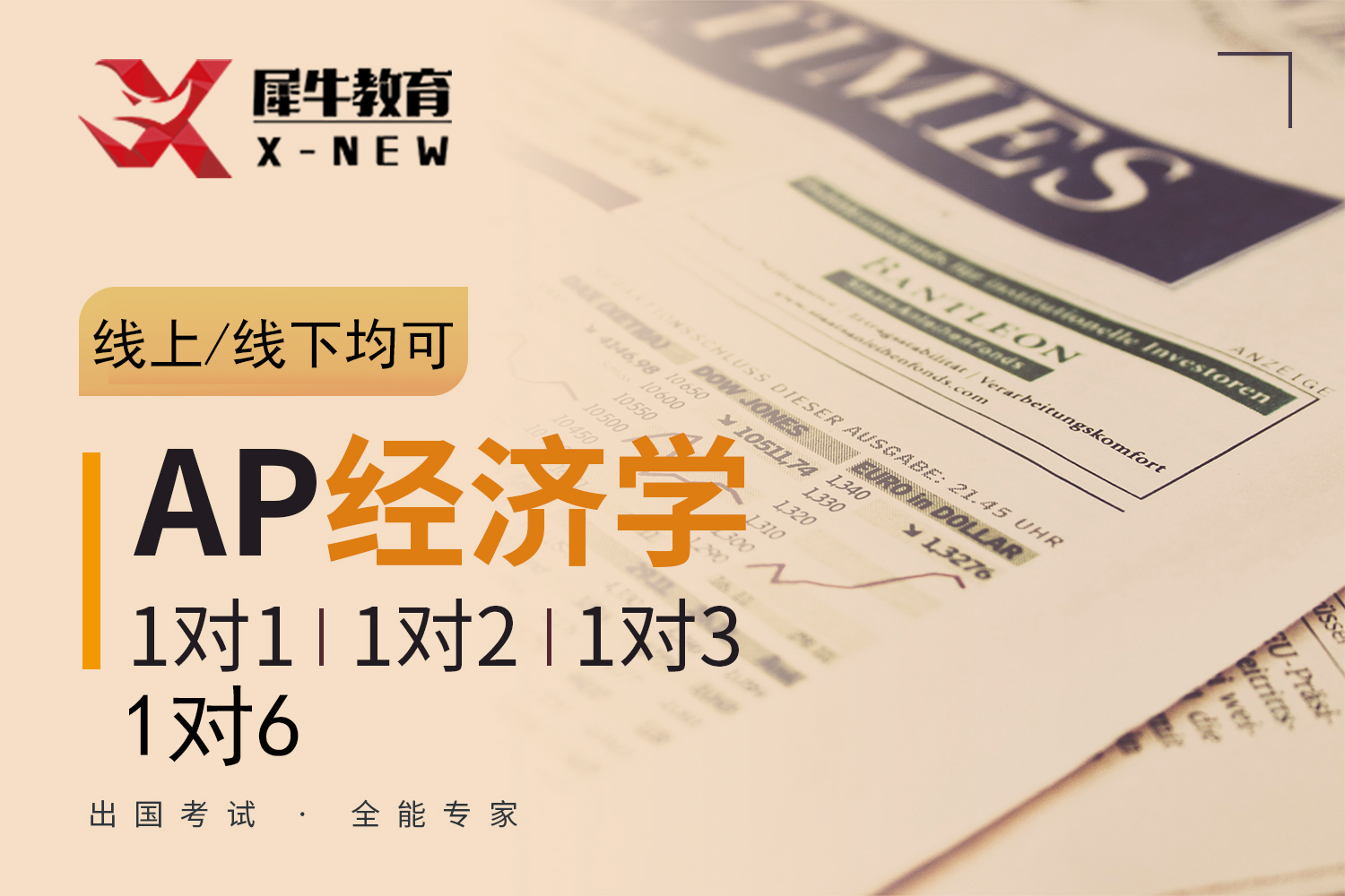 南京犀牛国际教育南京AP经济学课程图片