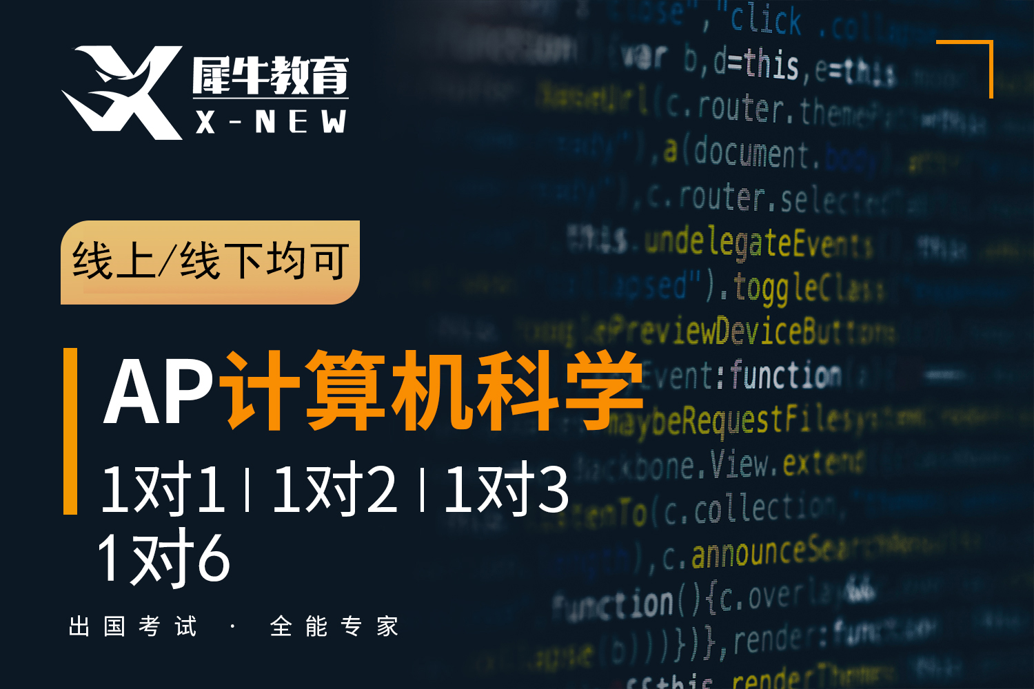 南京犀牛国际教育南京AP计算机课程图片