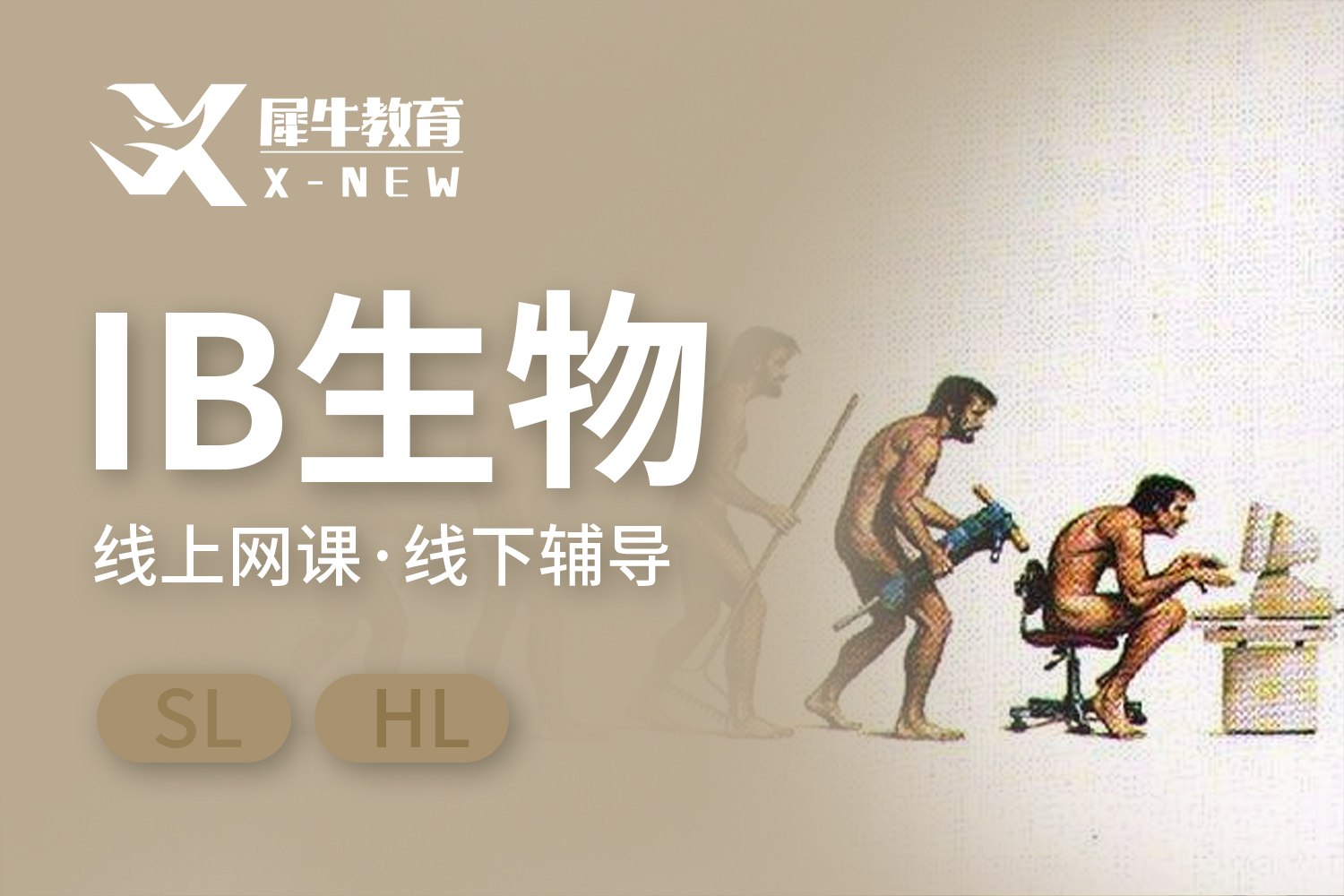 南京犀牛国际教育南京IB生物课程体系图片