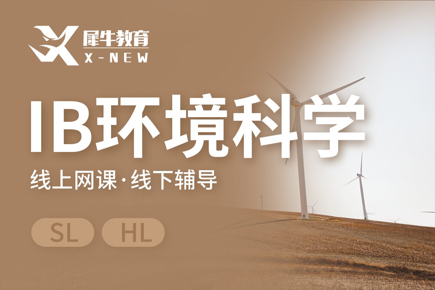 南京犀牛国际教育南京IB环境科学课程图片