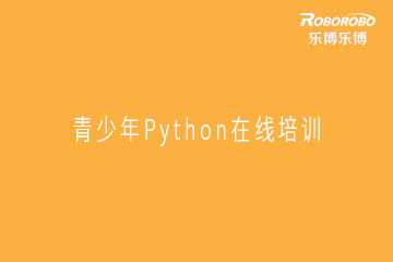 南京乐博乐博机器人青少年Python在线培训课程图片