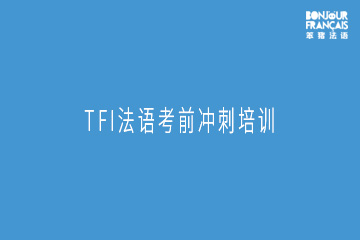 广州TFI法语考前冲刺培训班
