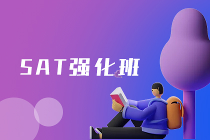 深圳犀牛国际教育深圳SAT强化培训班图片