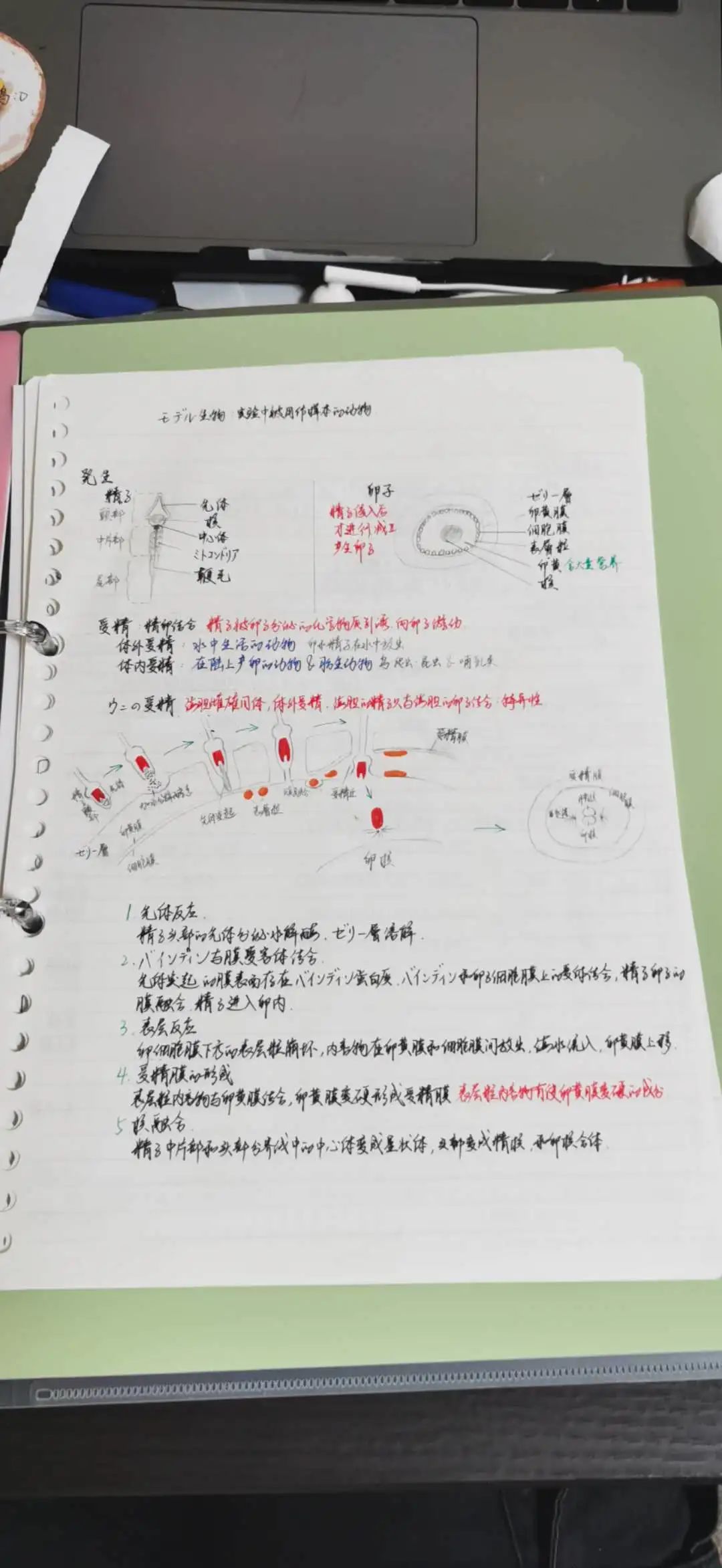 合格訪談丨樂(lè)觀開(kāi)朗的海淀boy，入塾半年后合格立命館大學(xué)