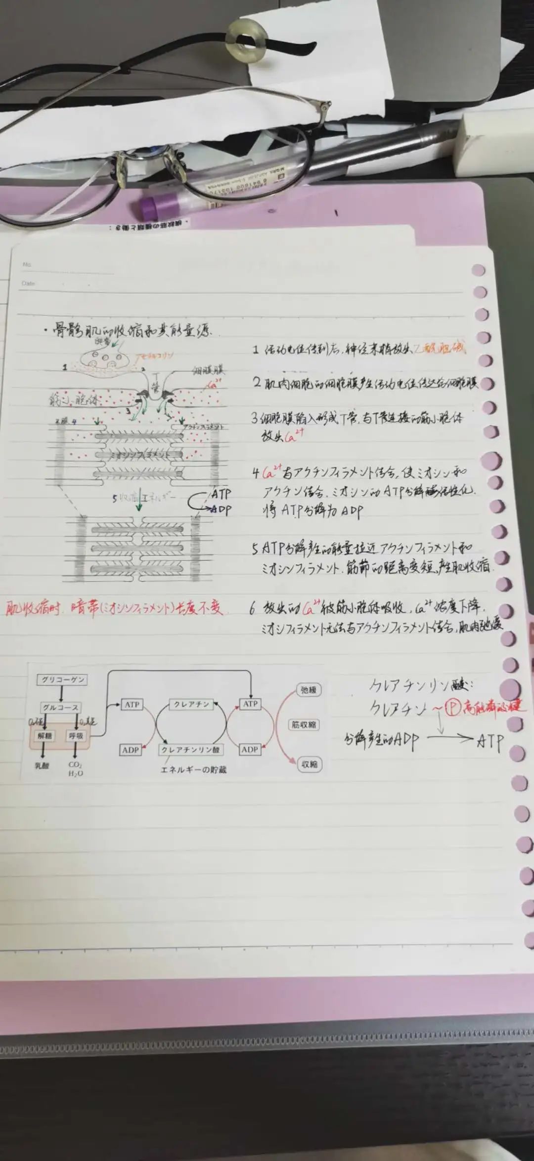 合格访谈丨乐观开朗的海淀boy，入塾半年后合格立命馆大学