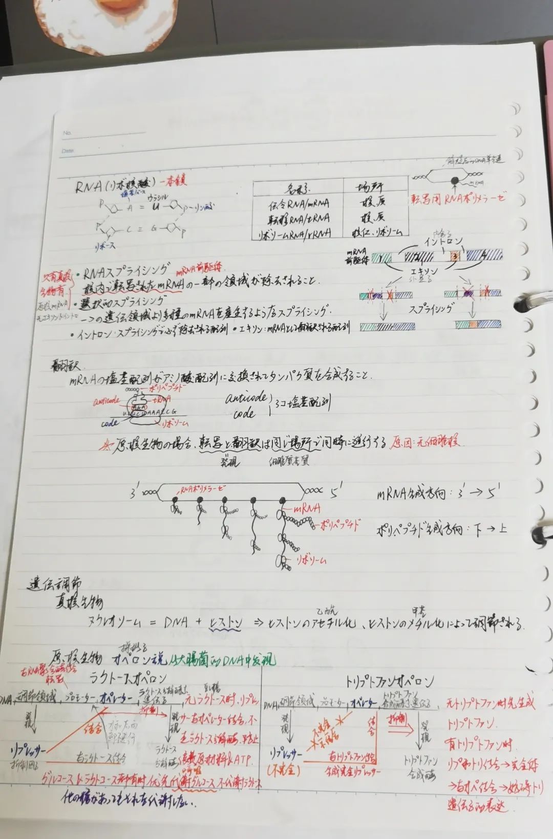 合格访谈丨乐观开朗的海淀boy，入塾半年后合格立命馆大学