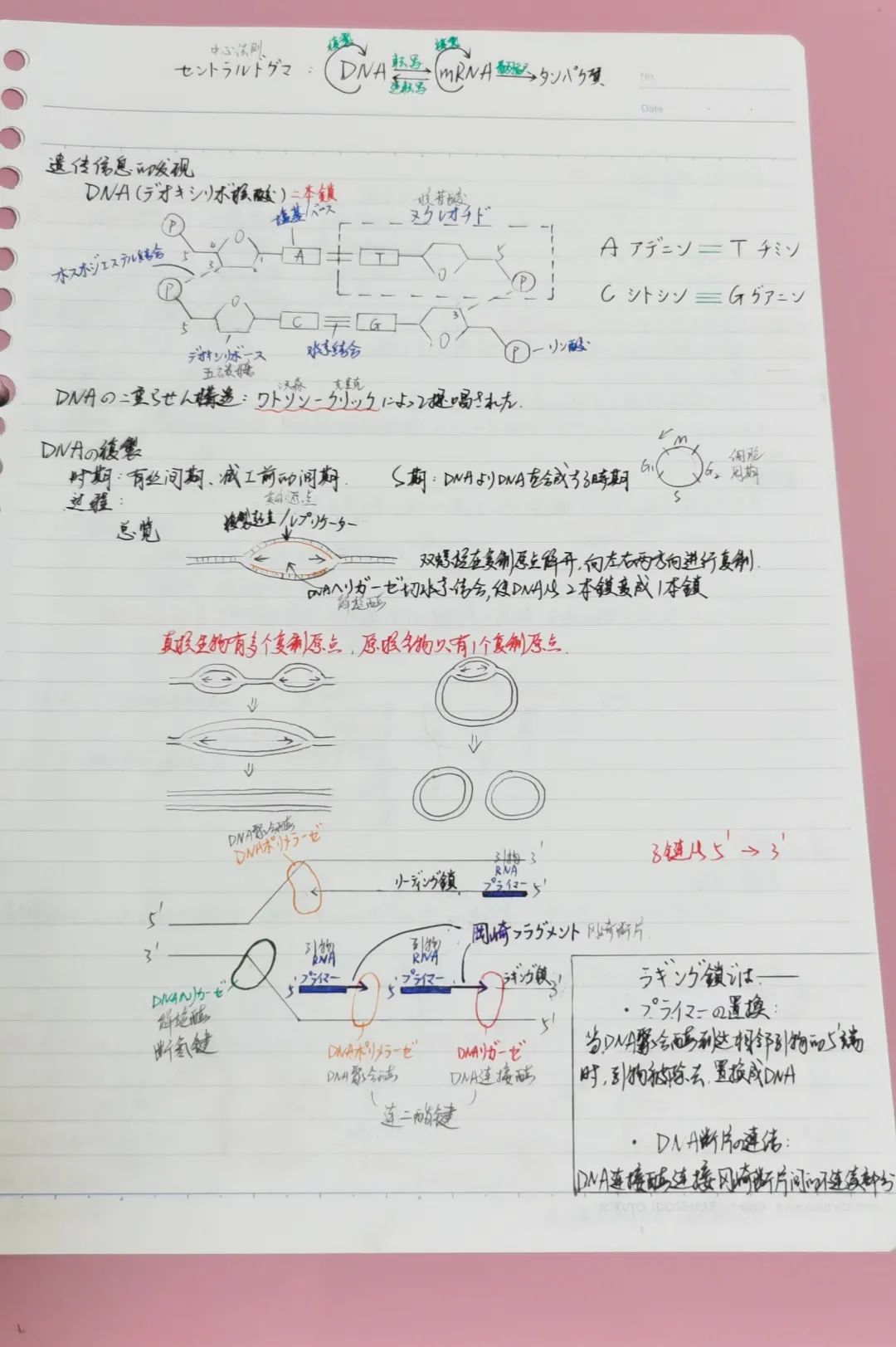 合格訪談丨樂(lè)觀開(kāi)朗的海淀boy，入塾半年后合格立命館大學(xué)