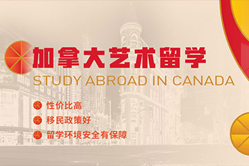 南京ACG国际艺术教育南京ACG加拿大艺术留学辅导图片