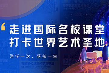 南京ACG国际艺术教育南京ACG艺术游学图片