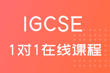 IGCSE考试1对1在线培训课程