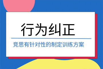 上海竞思教育上海竞思行为纠正课程图片
