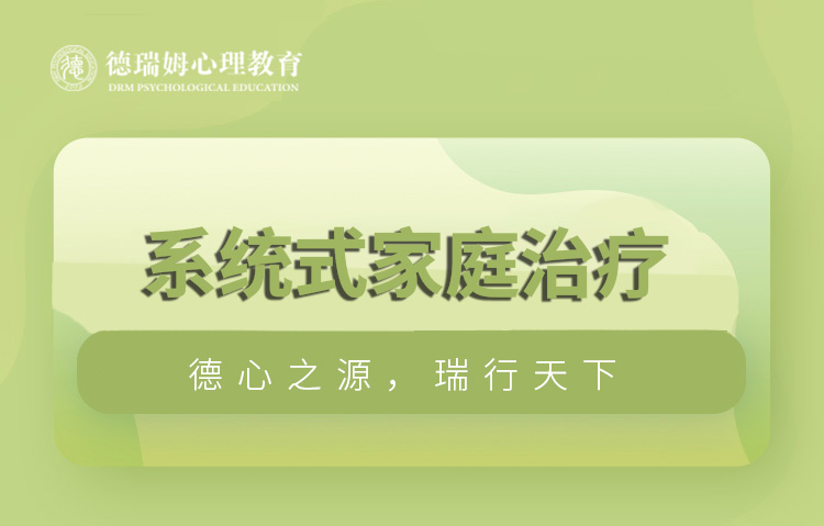 广州德瑞姆广州系统式家庭治疗课程认证课程图片