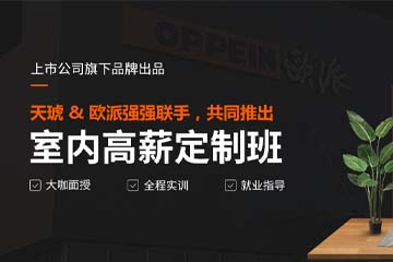 天琥教育設計培訓學校天琥室內高薪定制班課程圖片