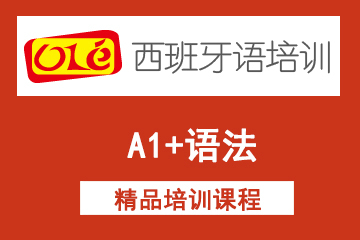 上海ole西班牙语网课A1+语法课程