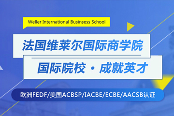 广州新与成国际教育法国维莱尔国际商学院MBA招生简章 图片