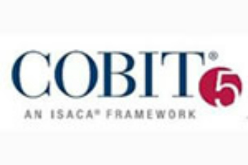上海昂立IT职业教育COBIT®5 Foundation认证（IT治理精要）图片