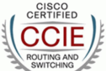 上海昂立it教育培训Cisco CCIE(R&S)认证图片