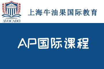 上海牛油果AP国际培训课程