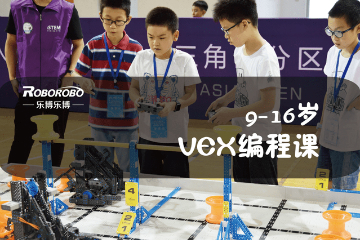 西安乐博机器人西安乐博乐博vex机器人竞赛培训班（9-16岁）图片