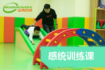 杭州金博智慧教育杭州儿童感统训练图片