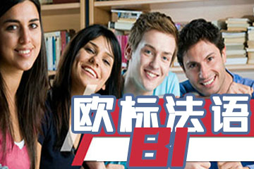 武汉扬格外语学校武汉欧标法语B1直达培训课程图片