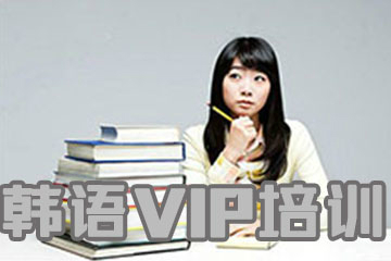 武汉扬格外语学校武汉扬格韩语VIP培训课程图片