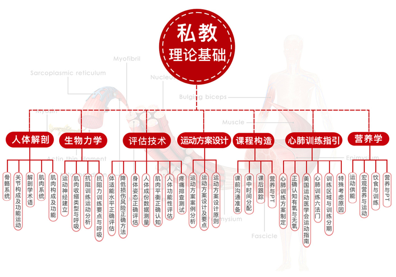 北京569go综合全能健身教练培训课程