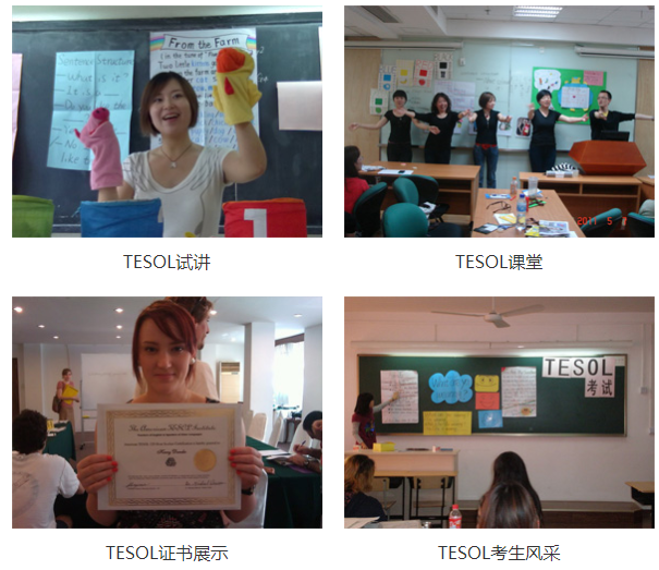 TESOL国际英语教师资格证培训课程