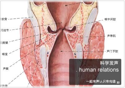 廣州新勵成演講口才培訓(xùn)《科學(xué)發(fā)聲》課程