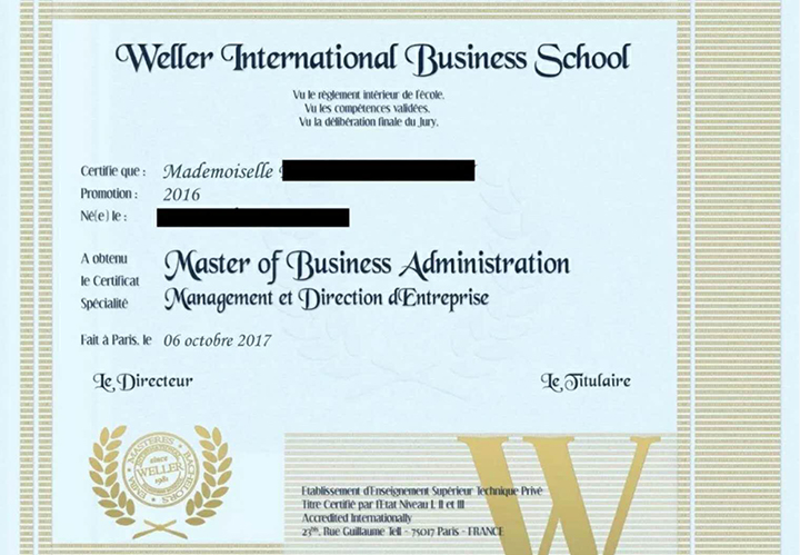 法国维莱尔国际商学院MBA招生简章 
