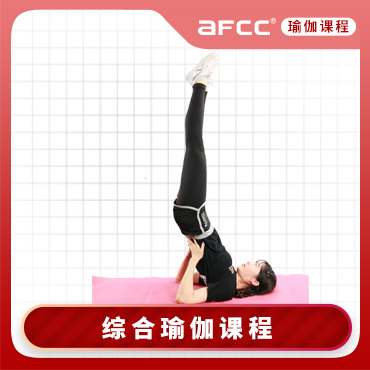 上海体适能AFCC上海体适能综合瑜伽培训课程图片
