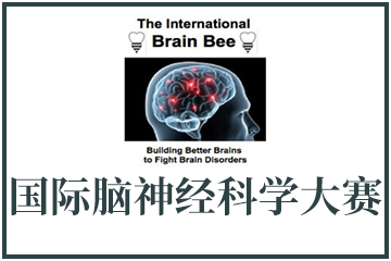 翰林国际教育Brain Bee国际脑神经科学大赛图片