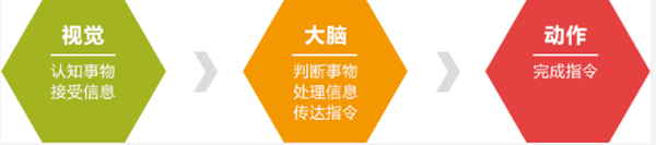 廈門少兒視動(dòng)統(tǒng)合能力學(xué)什么