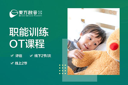 上海东方启音儿童康复中心感统训练课程图片