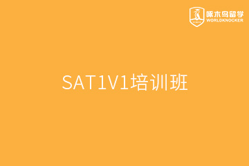 广州啄木鸟教育广州SAT1V1培训班图片