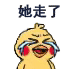 帝国理工未解之谜：女生去哪儿了.....