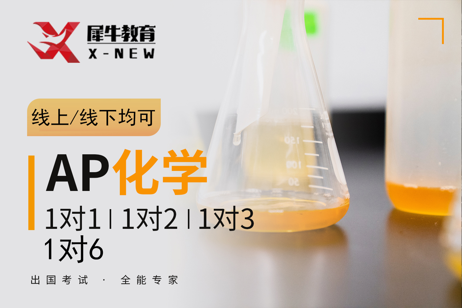 深圳犀牛国际教育深圳AP化学课程图片