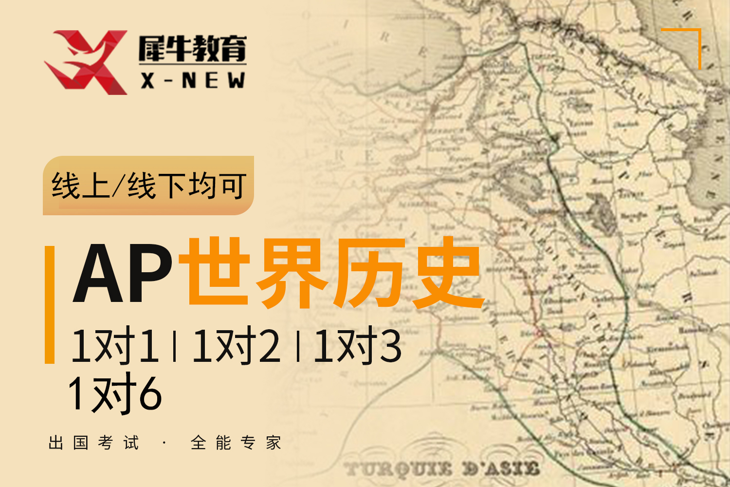 南京犀牛国际教育南京AP世界史课程图片
