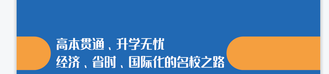2021年上海立信国际高中学院招生计划