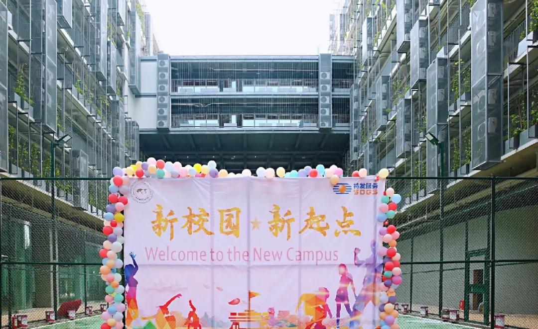 【转】一份来自深国交学长的信