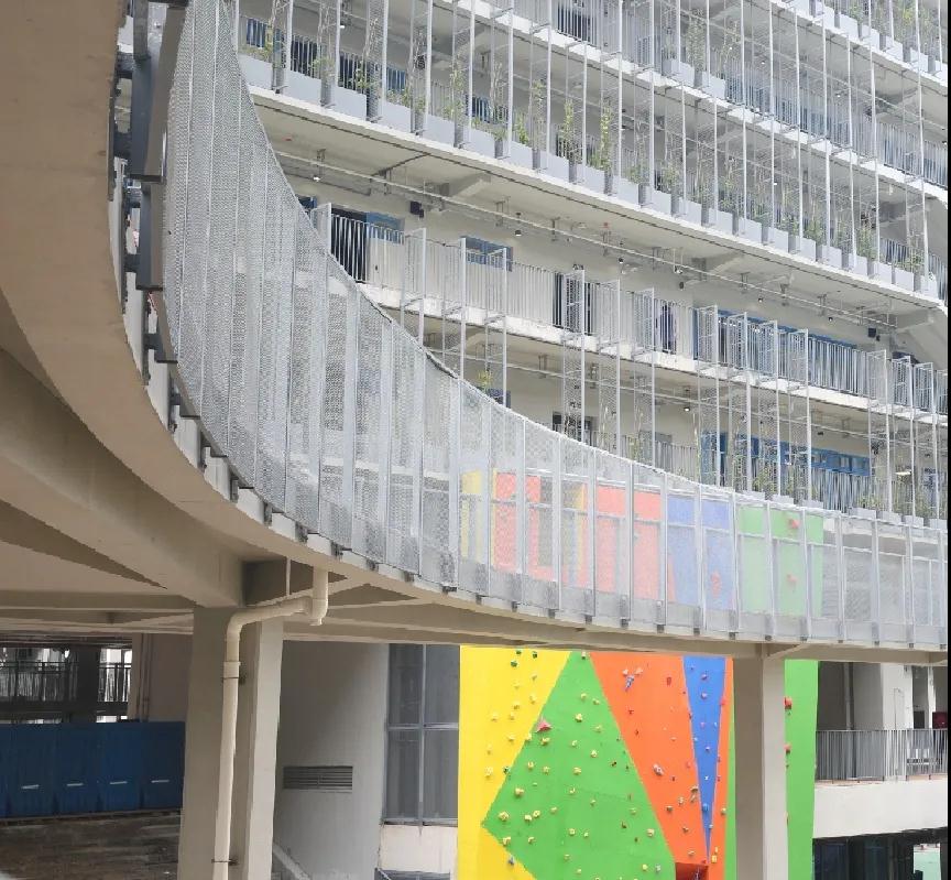 【转】一份来自深国交学长的信