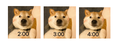 学费80万却只能“云留学”，疫情下留学生的苦与乐