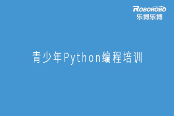 广州乐博机器人广州青少年Python编程培训班图片