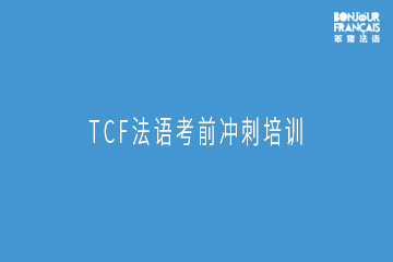 广州笨猪法语广州TCF法语考前冲刺培训班图片