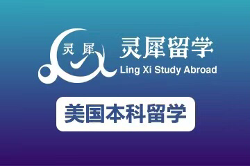 上海灵犀留学上海灵犀美国本科留学课程图片