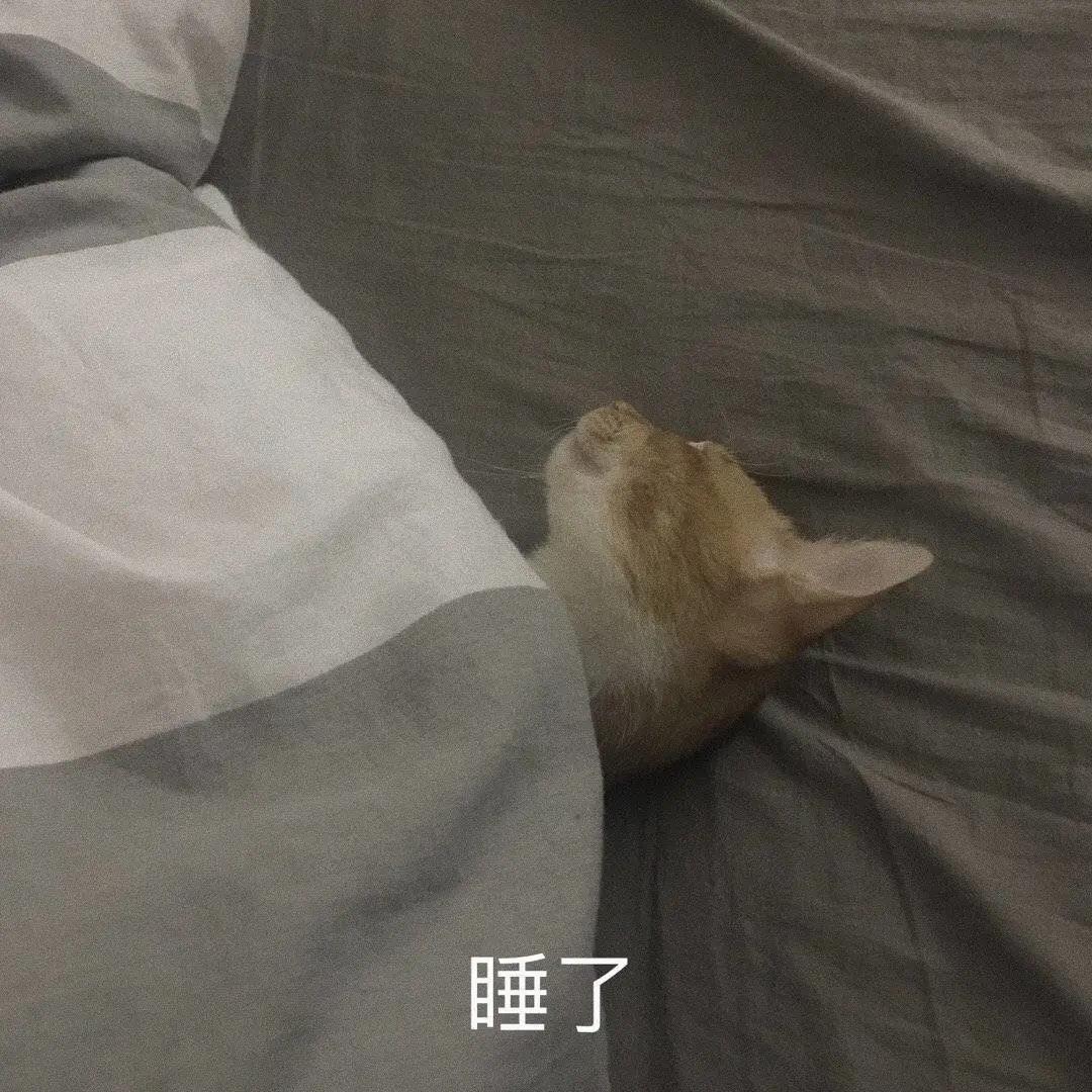 留学生的九大快感瞬间，你一定体验过......