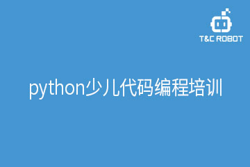 python少儿代码编程培训